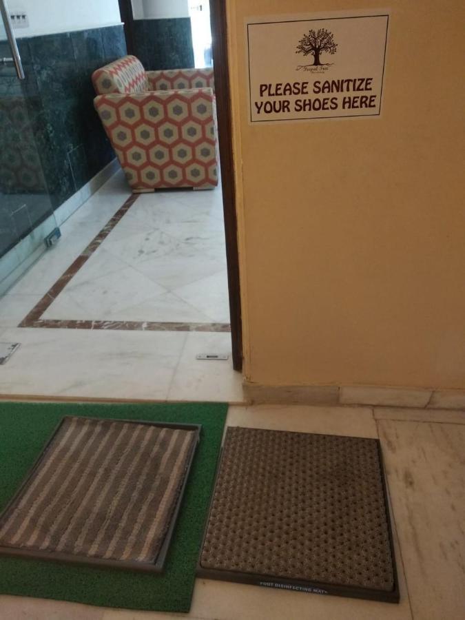 Peepal Tree Residency Bed & Breakfast New Delhi Eksteriør bilde