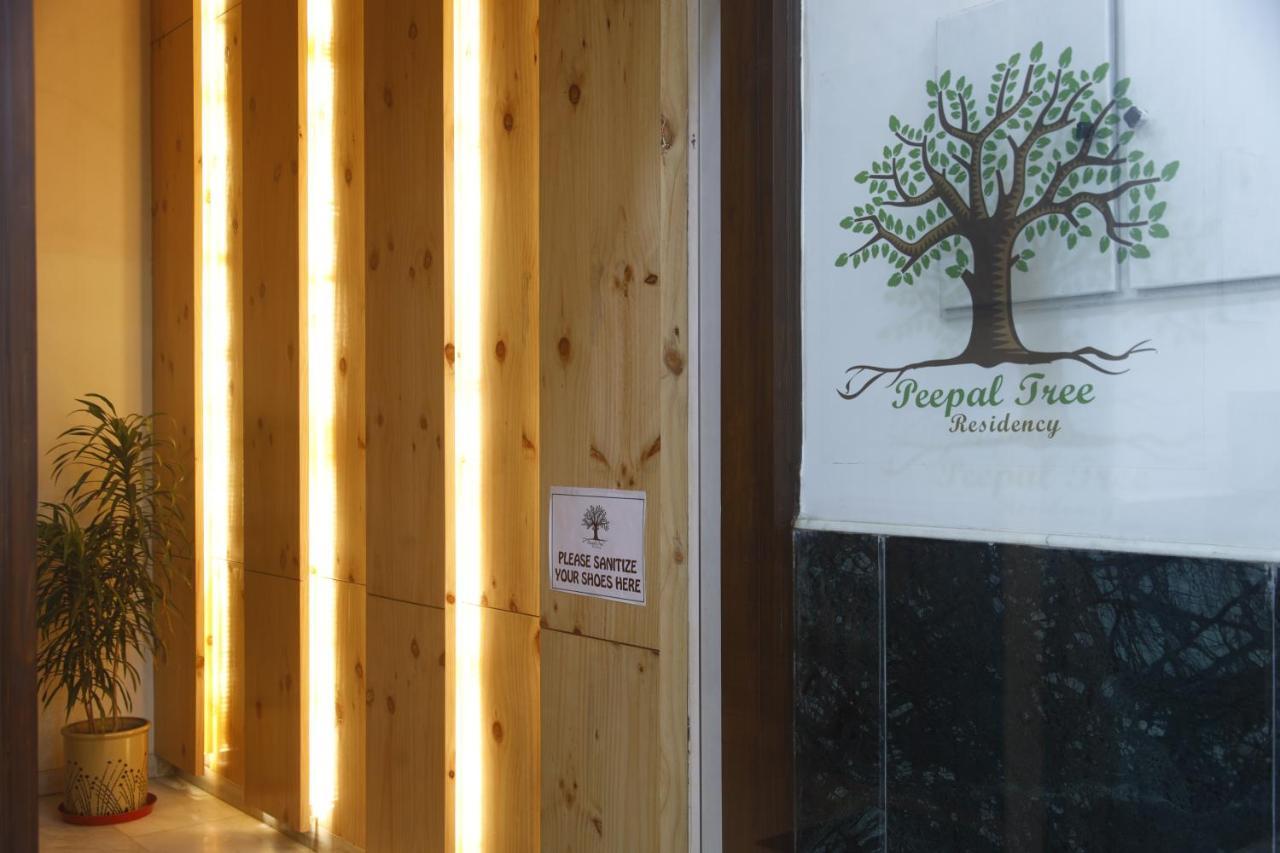 Peepal Tree Residency Bed & Breakfast New Delhi Eksteriør bilde